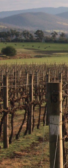 chianti classico (Franciacorta DOCG)